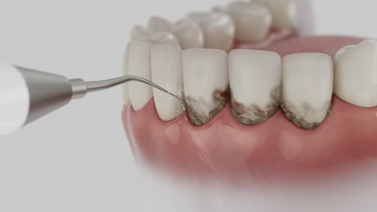 Reliable Dental contractor in Culpeper, VA by Dentist Open Now